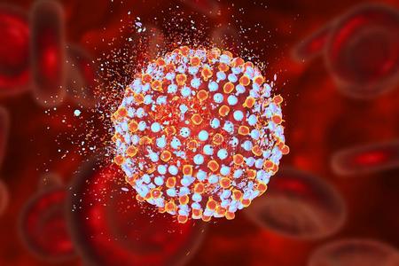 h1n1,肝炎病毒,流感,艾滋病.