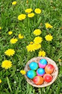 草地上的复活节彩蛋