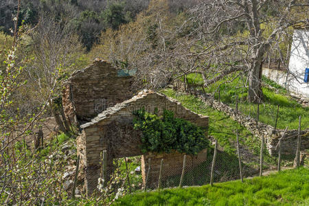 房子 天堂 自然 希腊 旅游业 爱琴海 玛丽 建筑学 照片