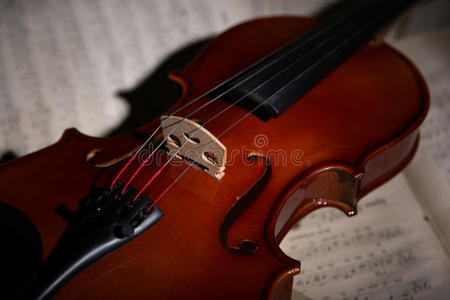管弦乐队 文化 艺术 小提琴 钢琴 古典的 工具 巴洛克风格