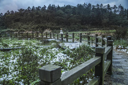 公园 森林 农场 寒冷的 农业 栅栏 风景 百合花 场景