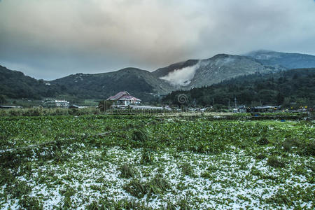 场景 乡村 建筑 农场 竹子 公园 自然 农业 胼胝体 行业