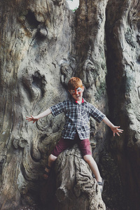 男孩在户外爬树，用老虎的脸画