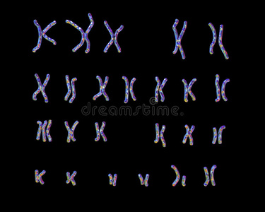 医疗保健 医学 人类 微生物学 染色体 细胞 健康 核型
