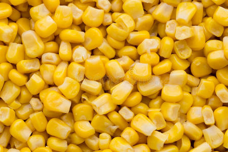 大部分黄色玉米粒质地。
