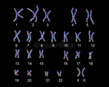 繁殖 提供 医疗保健 显微镜 生物化学 微生物学 人类 进化