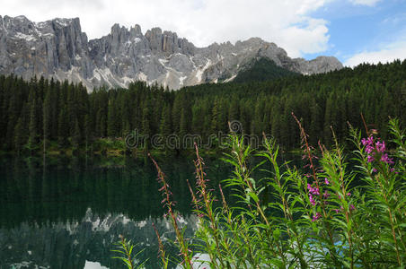 欧洲 美丽的 旅游业 意大利 阿尔卑斯山 岩石 全景图 阿迪奇