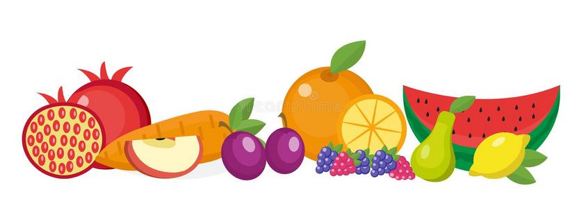 水果静物设置，白色背景。 水果水平横幅。矢量插图。