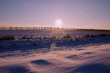 冬天的第一天。 白雪覆盖的树在雪峰上