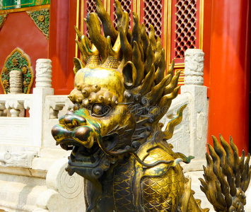 北京金狮麟图片