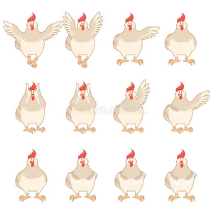 家禽 鸡蛋 可爱的 母鸡 羽毛 偶像 公鸡 剪贴画 插图
