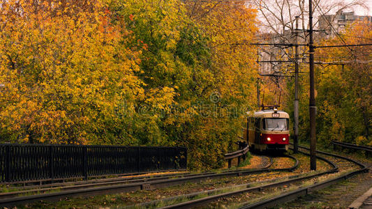 国家 轨道 落下 树叶 自然 有轨电车 旅行 颜色 运输
