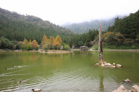 美丽的湖景