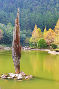 美丽的湖景