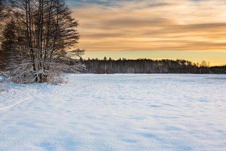 覆盖 寒冷的 霍尔 圣诞节 雪堆 季节 风景 雨夹雪 分支