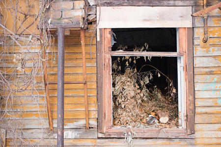 摧毁了木屋里的窗户
