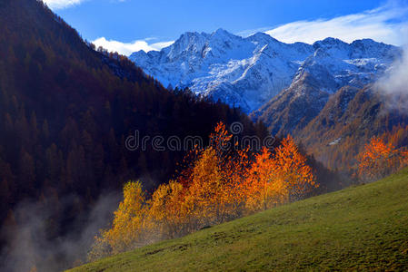 秋季高山景观