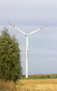 风景 涡轮 权力 农场 领域 生态学 天空 能量 风车 磨坊