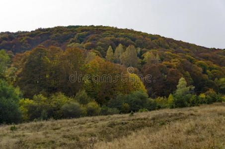 维托沙山上五颜六色的秋天景观