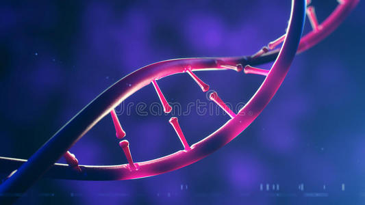 DNA分子的三维图示。 人类基因组概念的特写