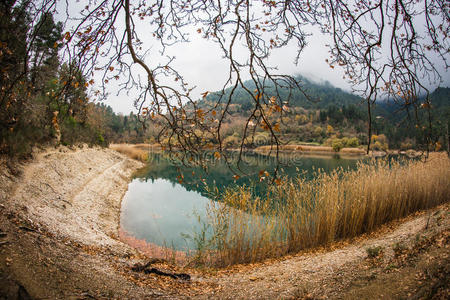 秋季景观与绿色水域的齐夫洛斯湖，佩罗蓬尼斯，希腊