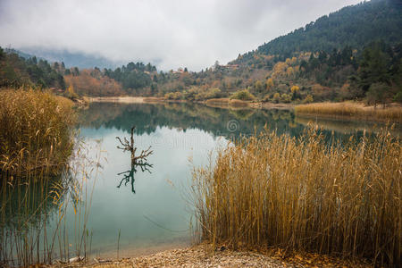 秋季景观与绿色水域的齐夫洛斯湖，佩罗蓬尼斯，希腊