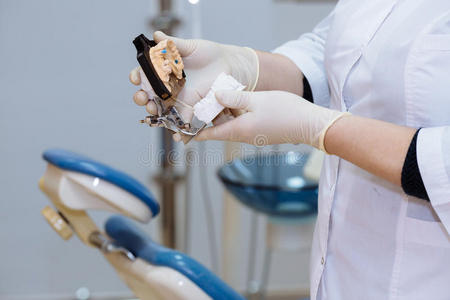 牙科医生手拿样本颌骨医疗工具在牙科办公室。 健康的概念