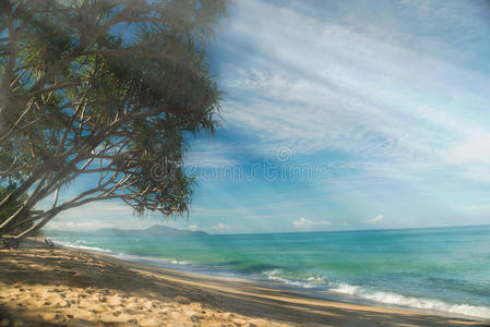 海岸 椰子 阳光 旅游 海景 放松 海滩 加勒比 植物 美丽的