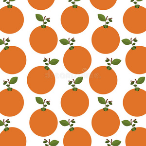 有茎和叶的橘子五颜六色的图案