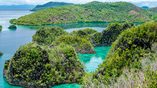 风景 现在的 安培 海的 自然 太平洋 冒险 社论 努力