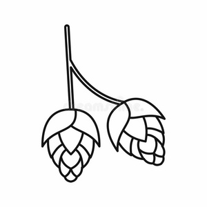 苦啤酒花图片-苦啤酒花素材-苦啤酒花插画-摄图新视界