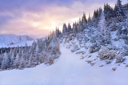 寒冷的冬天日出在雪的塔特拉山