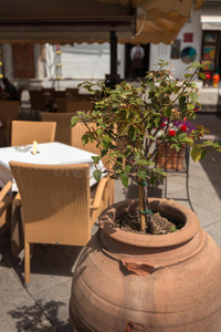餐厅 晚餐 地中海 咖啡 藤条 院子 铺路 城市 空气 椅子