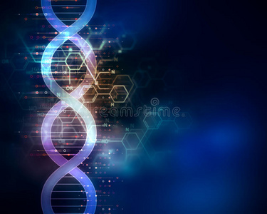 抽象技术背景下的DNA分子