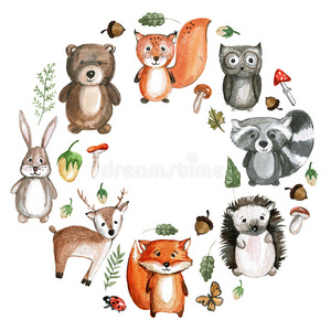 可爱的林地动物水彩图片幼儿园动物园图标
