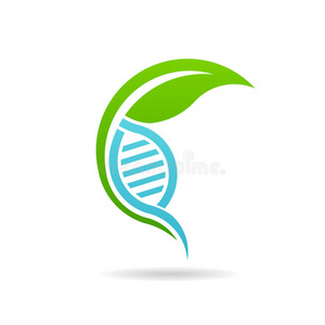 人类 插图 基因 行业 生物学 化学 细胞 自然 染色体