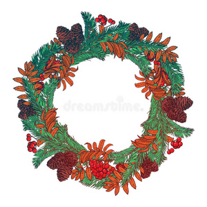 用红色浆果和冷杉树枝手绘花环。 圆框圣诞卡冬季设计。 矢量布局共享空间