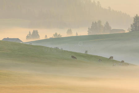 秋雾在阿尔卑斯山的山口