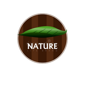 自然 生物 徽章 要素 健康 公司 商业 形象 植物 偶像