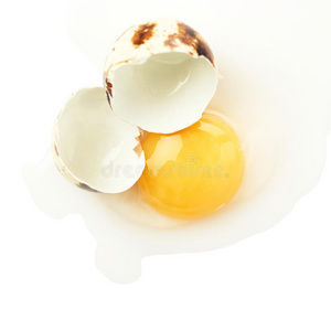 裂开的生鹌鹑蛋，蛋黄在白色背景上分离