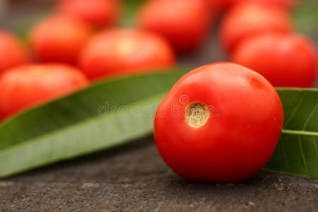黑色木制背景上的新鲜西红柿