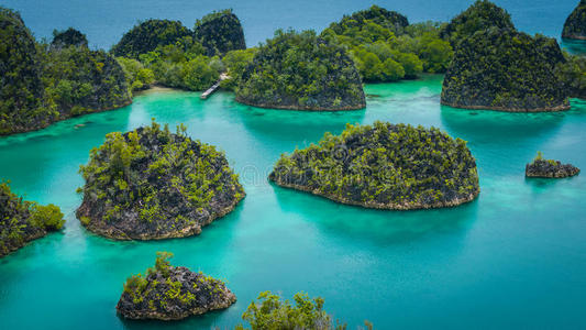 泻湖 探索 环境 生活 风景 天堂 太平洋 美丽的 海滩