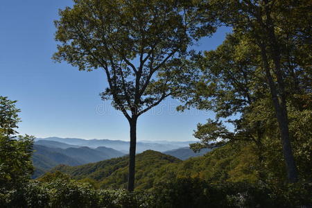 田纳西州的大烟山国家公园