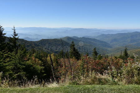 田纳西州的大烟山国家公园