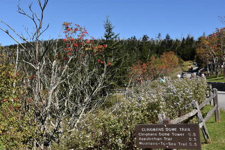 田纳西州的大烟山国家公园