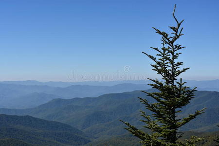 田纳西州的大烟山国家公园