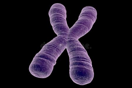 显微镜 遗传学 医疗保健 核型 生物化学 染色体 基因 突变