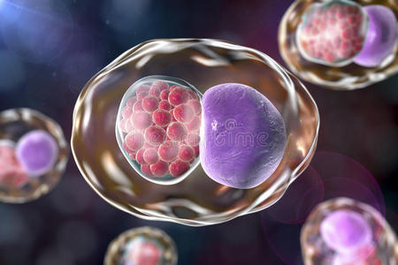 衣原体图片-衣原体素材-衣原体插画-摄图新视界