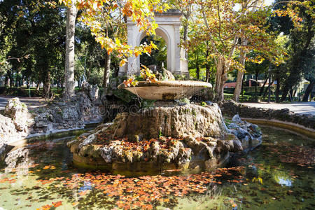 罗马城有落叶的喷泉