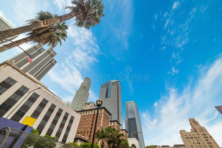 日光 建筑学 城市景观 地标 摩天大楼 市中心 天际线 天使